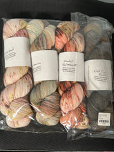 Sock Weight - Barnyard Knits - Forest Grove Kit